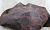 Ткань подкладочная TIP-059 цвет: коричневый